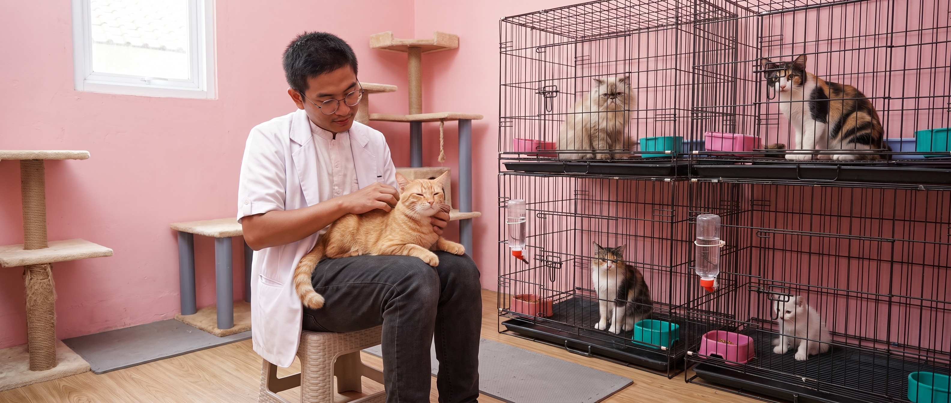 Pet Care Service Sanveta Care